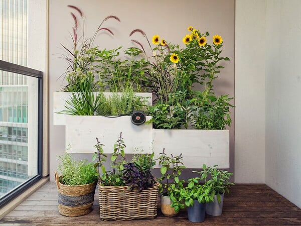 GARDENA - Solution d'arrosage automatique solaire AquaBloom - large