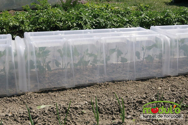 MODULO - Tunnel Modulo 40 - Lot de 3 - large