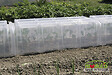 MODULO - Tunnel Modulo 40 - Lot de 3 - vignette