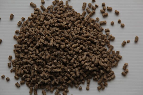 LA FERMETTE - Aliment pour poule pondeuse - 25kg - large