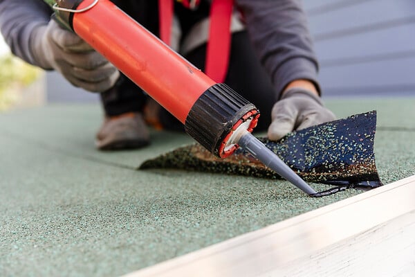 SOPREMA - Toit pour abri de jardin - Vert - 5x0,5m - large