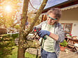 BOSCH - Scie à lame NanoBlade sans fil EasyCut 12 avec batterie - vignette