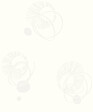 GRANDECO - Motif ochoco blanc - vignette