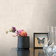 GRANDECO - Patine uni ecru - vignette