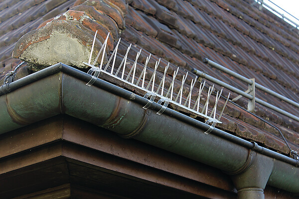SWISSINNO - Clips de fixation des barrières anti-pigeons x6 - large