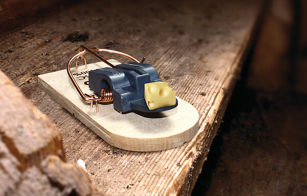 SWISSINNO - 2x tapettes à souris en bois FSC - large