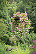 CERLAND - Pergola double Arc - Pin - vignette