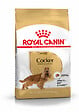 ROYAL CANIN - Croquettes chien COCKER ADULT CHIEN PLUS DE 12 MOIS 3KG - vignette