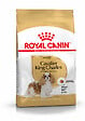 ROYAL CANIN - Croquettes chien CAVALIER KING CHARLES ADULT PLUS DE 10 MOIS 3KG - vignette