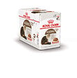 ROYAL CANIN - Bouchées pour chat AGEING12+ SAUCE 12x85g - vignette