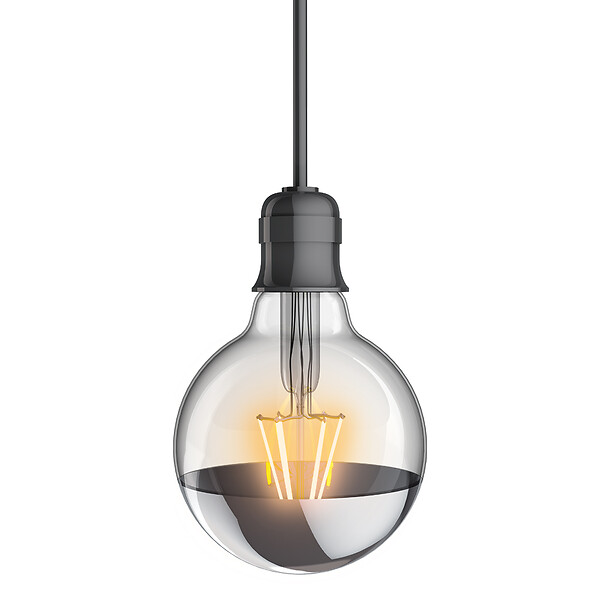XANLITE - Ampoule LED G95 vintage silver top, culot E27, 8W, équivalent 60W, blanc chaud, 2600K, angle 320°, globe décoratif, éclairage doux et homogène - large