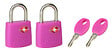 MASTER LOCK - 2 cadenas valises certifiés TSA 30mm - vignette