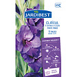 JARDIBEST - Glaieul à grandes fleurs mauve foncé - 10 Bulbes - vignette