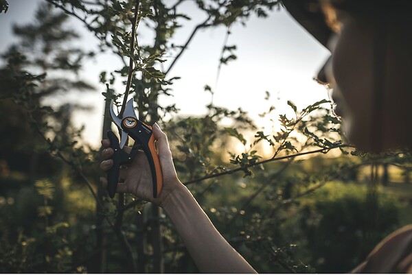 FISKARS - Sécateur Plus PowerLever P721 - large