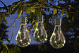 SMARTSOLAR - Ampoule solaire eureka - vignette