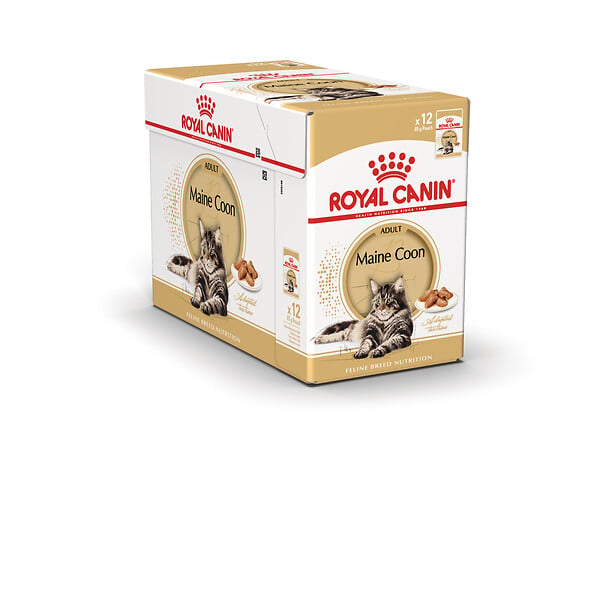 ROYAL CANIN - Aliment chat MAINE COON ADULT 12x85g - large