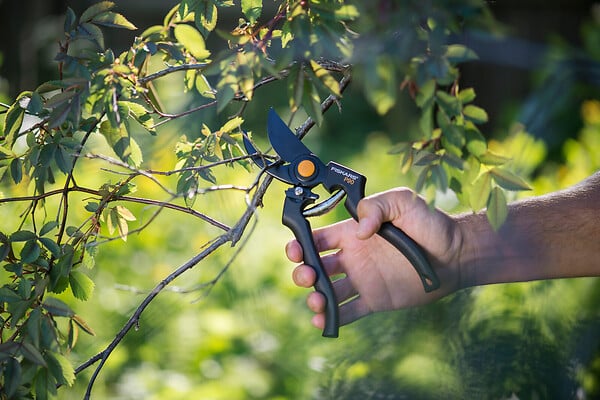 FISKARS - Sécateur Traditionnel P90 26mm diam coupe lame franche - large