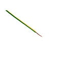 ZENITECH - Fil électrique H07V-U 1,5mm² jaune/vert - 25m - Zenitech - vignette