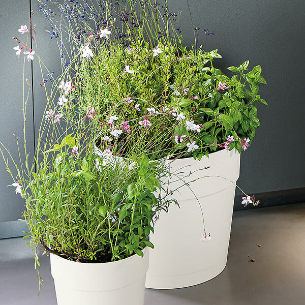 DEROMA - Vaso Save R Bianco à réserve d'eau 25cm - large