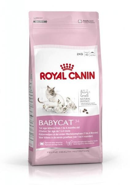 ROYAL CANIN - Croquettes pour chatte en gestation ou lactation et chatons - large