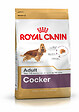 ROYAL CANIN - Croquettes chien COCKER ADULT CHIEN PLUS DE 12 MOIS 3KG - vignette