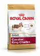 ROYAL CANIN - Croquettes chien CAVALIER KING CHARLES ADULT PLUS DE 10 MOIS 3KG - vignette