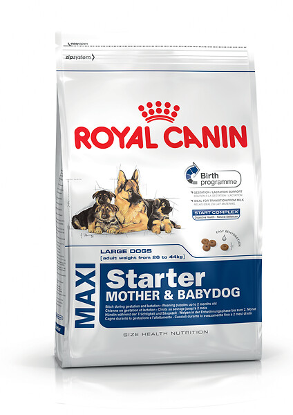 ROYAL CANIN - Croquettes chien STARTER M&B MAXI CHIENNE ET CHIOT JUSQU'A 2 MOIS 4KG - large