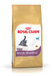 ROYAL CANIN - Croquettes chat BRITISH SHORTHAIR KITTEN 2kg - vignette