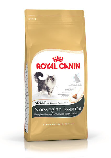ROYAL CANIN - Croquettes chat NORWEGIAN FC ADULT 2kg - large