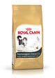 ROYAL CANIN - Croquettes chat NORWEGIAN FC ADULT 2kg - vignette