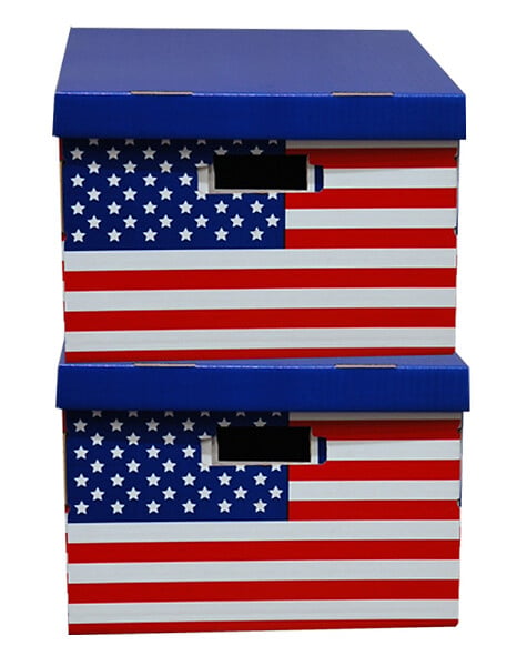 C.FROG - Clementina frog - lot de 2 boites en carton decor usa - large