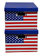 C.FROG - Clementina frog - lot de 2 boites en carton decor usa - vignette