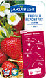 JARDIBEST - Fraisier Cirafine - 4 plants - vignette