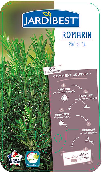 JARDIBEST - Romarin - C1L - large