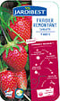 JARDIBEST - Fraisier Charlotte - 4 plants - vignette