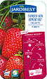 JARDIBEST - Fraisier Gariguette - 4 plants - vignette