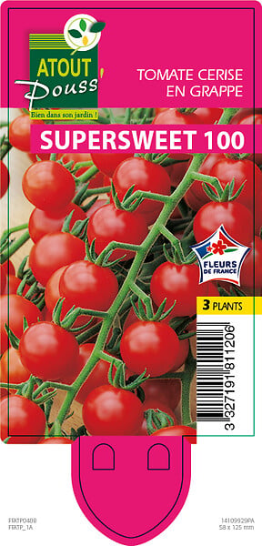 TAUGOURDEAU - Tomate cerise Supersweet 3 plants - large