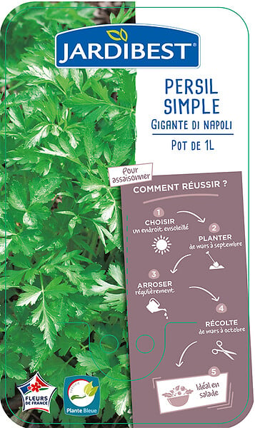 JARDIBEST - Persil simple Gigante di Napoli - Pot de 1L - large