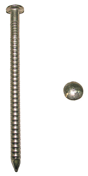 COTEKA - Pointes annelées à tête ronde bombée inox A4 L.50mm 500g - large