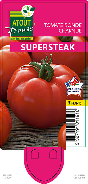 TAUGOURDEAU - Tomate supersteack 3 plants - large