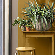 DULUX VALENTINE - Aérosol Color Touch - Terre d'Argile - Mat - 400ml - vignette