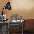 DULUX VALENTINE - Aérosol Dulux Valentine Color Touch Effet Chrome Argent 400 ML - vignette