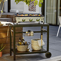 Les barbecues et planchas