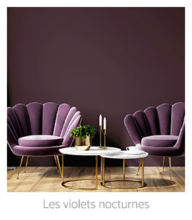 Les violets nocturnes
