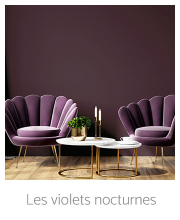 Les violets nocturnes
